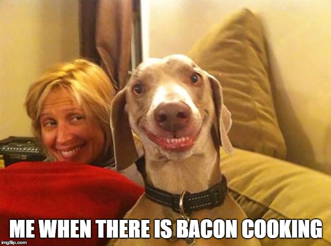 BACON! | ME WHEN THERE IS BACON COOKING | image tagged in bacon,meat,non vegeterians,eat,fat | made w/ Imgflip meme maker