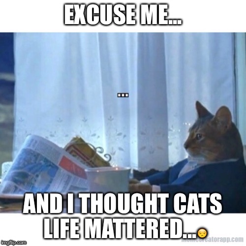 We matter | EXCUSE ME... AND I THOUGHT CATS LIFE MATTERED...😒 | image tagged in black lives matter | made w/ Imgflip meme maker