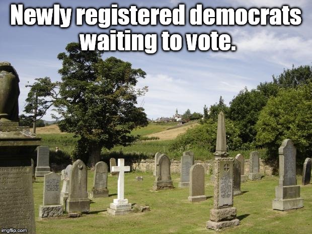 Graveyard | Newly registered democrats waiting to vote. | image tagged in graveyard | made w/ Imgflip meme maker