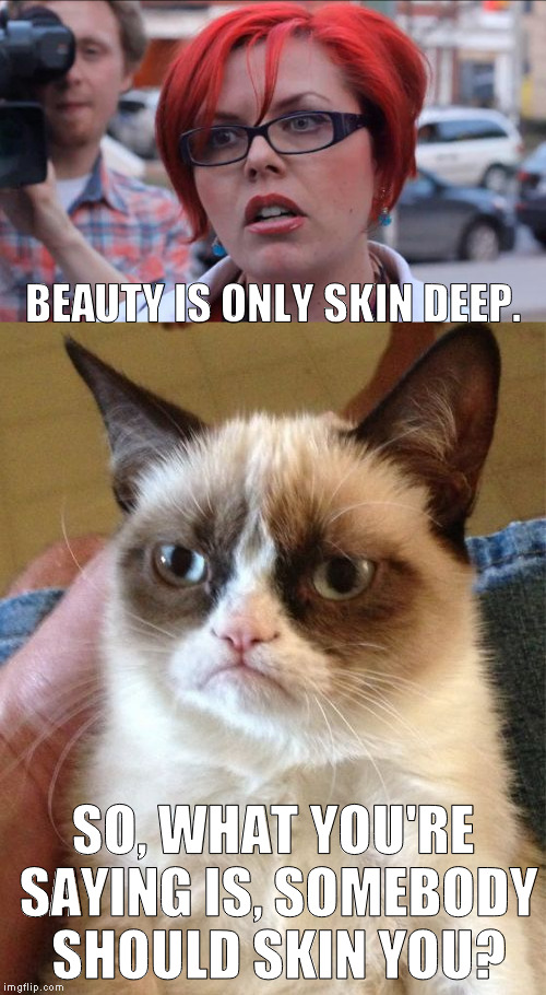 BEAUTY IS ONLY SKIN DEEP. SO, WHAT YOU'RE SAYING IS, SOMEBODY SHOULD SKIN YOU? | image tagged in meme,grumpy cat,angry feminist | made w/ Imgflip meme maker