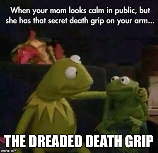 The dreaded death grip your mom gives you when you're in trouble in public.  | THE DREADED DEATH GRIP | image tagged in memes,kermit the frog | made w/ Imgflip meme maker