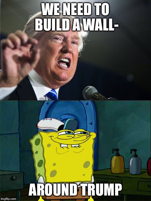 True, right? | WE NEED TO BUILD A WALL-; AROUND TRUMP | image tagged in donald trump,memes,spongebob,so true memes | made w/ Imgflip meme maker