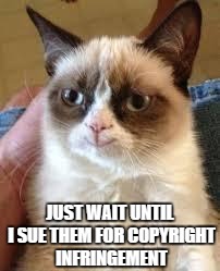 Grumpy Cat Happy Meme | JUST WAIT UNTIL I SUE THEM FOR COPYRIGHT INFRINGEMENT | image tagged in grumpy cat smile | made w/ Imgflip meme maker