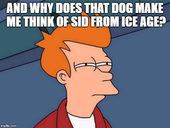 Futurama Fry Meme | AND WHY DOES THAT DOG MAKE ME THINK OF SID FROM ICE AGE? | image tagged in memes,futurama fry | made w/ Imgflip meme maker