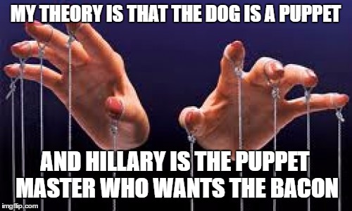 MY THEORY IS THAT THE DOG IS A PUPPET AND HILLARY IS THE PUPPET MASTER WHO WANTS THE BACON | made w/ Imgflip meme maker
