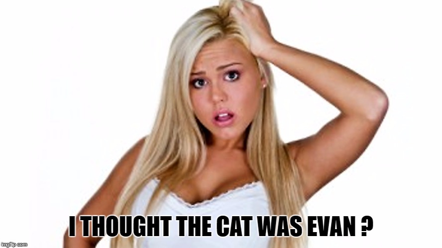 I THOUGHT THE CAT WAS EVAN ? | made w/ Imgflip meme maker