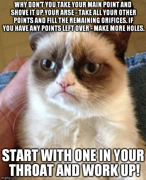 Grumpy Cat Meme | WHY DON'T YOU TAKE YOUR MAIN POINT AND SHOVE IT UP YOUR ARSE - TAKE ALL YOUR OTHER POINTS AND FILL THE REMAINING ORIFICES. IF YOU HAVE ANY POINTS LEFT OVER - MAKE MORE HOLES. START WITH ONE IN YOUR THROAT AND WORK UP! | image tagged in memes,grumpy cat | made w/ Imgflip meme maker
