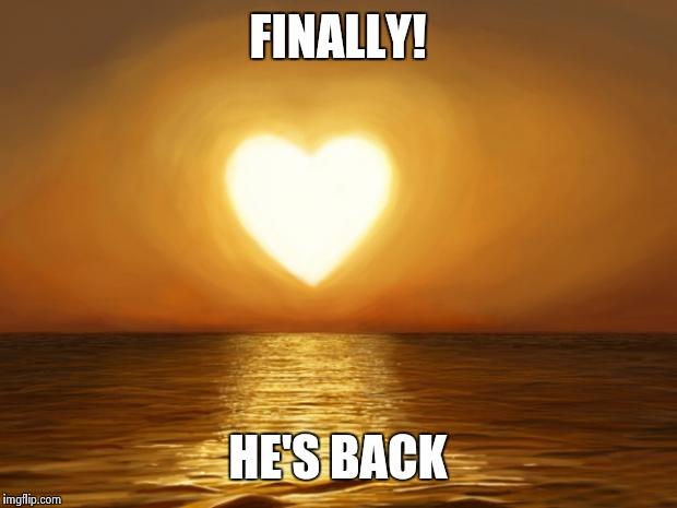 Love | FINALLY! HE'S BACK | image tagged in love | made w/ Imgflip meme maker