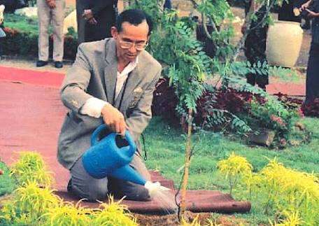 Thai King plants tree Blank Meme Template