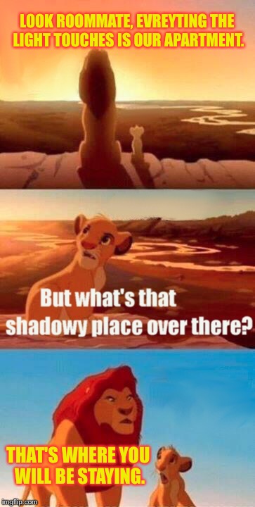 Skoink  |  LOOK ROOMMATE, EVREYTING THE LIGHT TOUCHES IS OUR APARTMENT. THAT'S WHERE YOU WILL BE STAYING. | image tagged in memes,simba shadowy place,roommate,funny memes | made w/ Imgflip meme maker