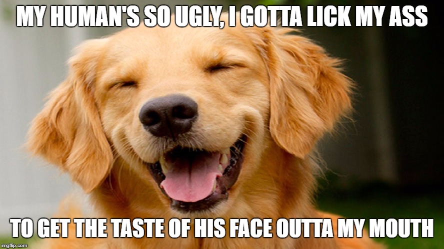 MY HUMAN'S SO UGLY, I GOTTA LICK MY ASS TO GET THE TASTE OF HIS FACE OUTTA MY MOUTH | made w/ Imgflip meme maker