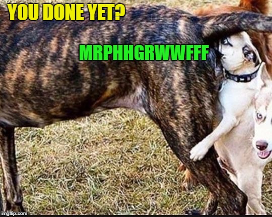 YOU DONE YET? MRPHHGRWWFFF | made w/ Imgflip meme maker