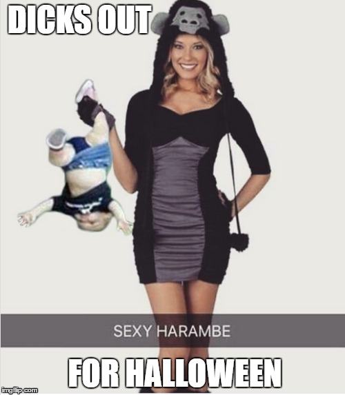 DICKS OUT; FOR HALLOWEEN | image tagged in harambe,dicksoutforharambe,halloween,memes,funny memes | made w/ Imgflip meme maker