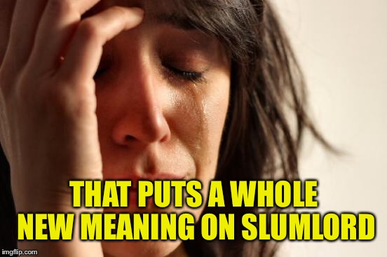 First World Problems Meme | THAT PUTS A WHOLE NEW MEANING ON SLUMLORD | image tagged in memes,first world problems | made w/ Imgflip meme maker