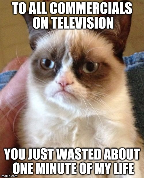 Grumpy Cat Meme | TO ALL COMMERCIALS ON TELEVISION; YOU JUST WASTED ABOUT ONE MINUTE OF MY LIFE | image tagged in memes,grumpy cat | made w/ Imgflip meme maker