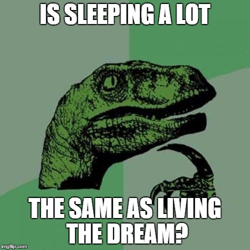 Philosoraptor Meme | IS SLEEPING A LOT; THE SAME AS LIVING THE DREAM? | image tagged in memes,philosoraptor | made w/ Imgflip meme maker