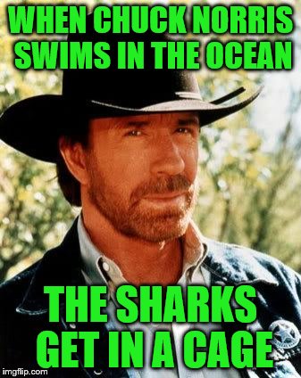 Chuck Norris | WHEN CHUCK NORRIS SWIMS IN THE OCEAN; THE SHARKS GET IN A CAGE | image tagged in chuck norris | made w/ Imgflip meme maker