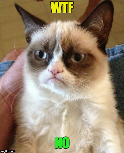 Grumpy Cat Meme | WTF NO | image tagged in memes,grumpy cat | made w/ Imgflip meme maker
