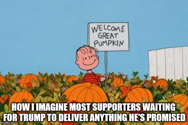 trump will deliver | HOW I IMAGINE MOST SUPPORTERS WAITING FOR TRUMP TO DELIVER ANYTHING HE'S PROMISED | image tagged in trump,voter fraud,gaslighting,pumpkin patch,linus,great pumpkin | made w/ Imgflip meme maker