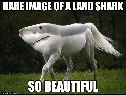 RARE IMAGE OF A LAND SHARK; SO BEAUTIFUL | image tagged in land shark | made w/ Imgflip meme maker