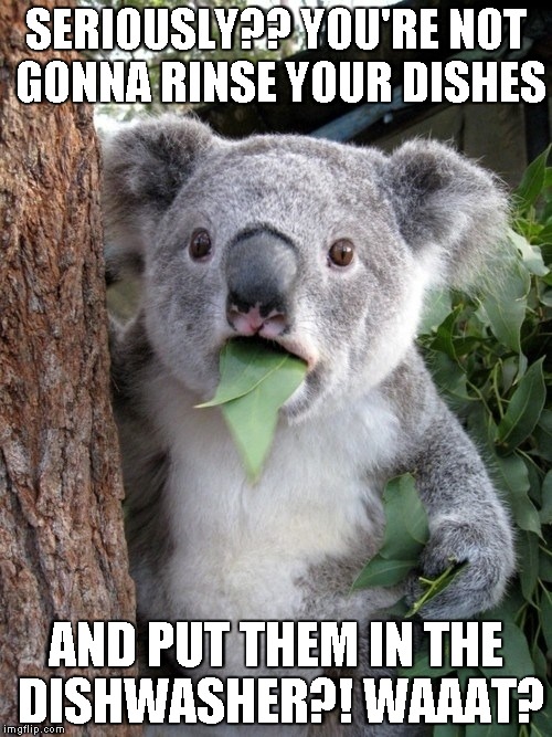 Surprised Koala Meme | SERIOUSLY?? YOU'RE NOT GONNA RINSE YOUR DISHES; AND PUT THEM IN THE DISHWASHER?! WAAAT? | image tagged in memes,surprised coala | made w/ Imgflip meme maker