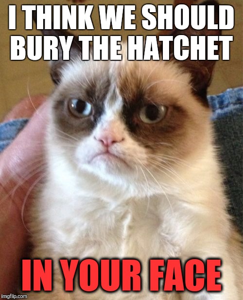 Grumpy Cat | I THINK WE SHOULD BURY THE HATCHET; IN YOUR FACE | image tagged in memes,grumpy cat | made w/ Imgflip meme maker