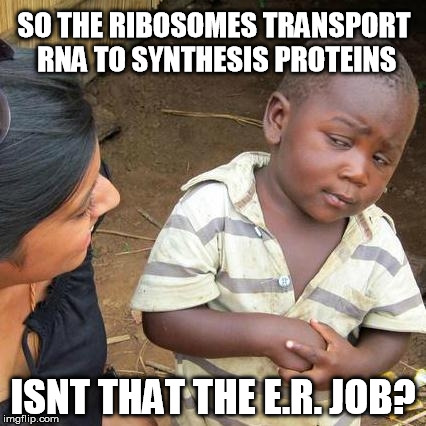 Third World Skeptical Kid | SO THE RIBOSOMES TRANSPORT RNA TO SYNTHESIS PROTEINS; ISNT THAT THE E.R. JOB? | image tagged in memes,third world skeptical kid | made w/ Imgflip meme maker