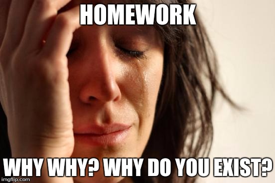 First World Problems Meme | HOMEWORK; WHY WHY? WHY DO YOU EXIST? | image tagged in memes,first world problems | made w/ Imgflip meme maker