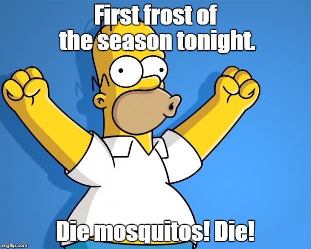 Woohoo Homer Simpson | First frost of the season tonight. Die mosquitos! Die! | image tagged in woohoo homer simpson | made w/ Imgflip meme maker