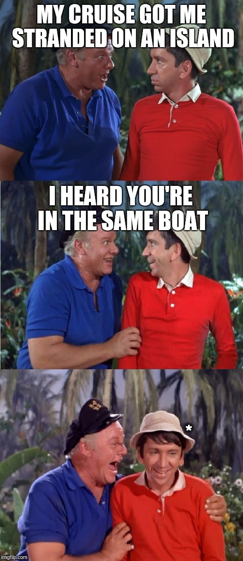 Gilligan Bad Pun | MY CRUISE GOT ME STRANDED ON AN ISLAND; I HEARD YOU'RE IN THE SAME BOAT; * | image tagged in gilligan bad pun | made w/ Imgflip meme maker