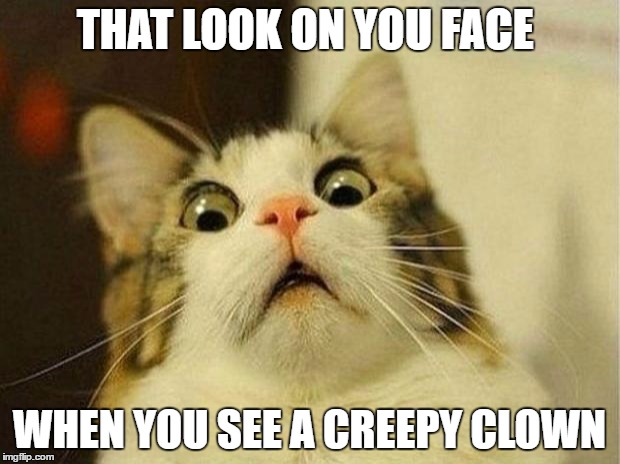 Scared Cat Meme | THAT LOOK ON YOU FACE; WHEN YOU SEE A CREEPY CLOWN | image tagged in memes,scared cat | made w/ Imgflip meme maker