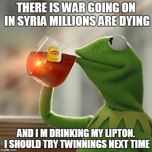 But That's None Of My Business | THERE IS WAR GOING ON IN SYRIA MILLIONS ARE DYING; AND I M DRINKING MY LIPTON. I SHOULD TRY TWINNINGS NEXT TIME | image tagged in memes,but thats none of my business,kermit the frog | made w/ Imgflip meme maker