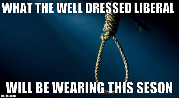 Noose | WHAT THE WELL DRESSED LIBERAL; WILL BE WEARING THIS SESON | image tagged in noose | made w/ Imgflip meme maker