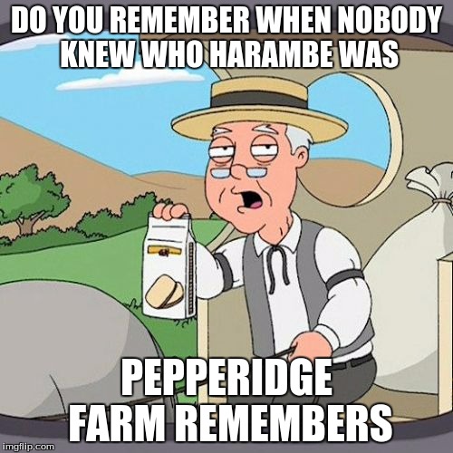 Pepperidge Farm Remembers Meme | DO YOU REMEMBER WHEN NOBODY KNEW WHO HARAMBE WAS; PEPPERIDGE FARM REMEMBERS | image tagged in memes,pepperidge farm remembers | made w/ Imgflip meme maker