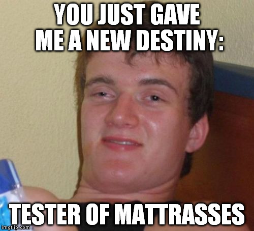 10 Guy Meme | YOU JUST GAVE ME A NEW DESTINY: TESTER OF MATTRASSES | image tagged in memes,10 guy | made w/ Imgflip meme maker