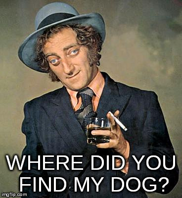 WHERE DID YOU FIND MY DOG? | image tagged in marty feldman | made w/ Imgflip meme maker