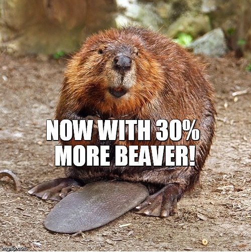 NOW WITH 30% MORE BEAVER! | made w/ Imgflip meme maker