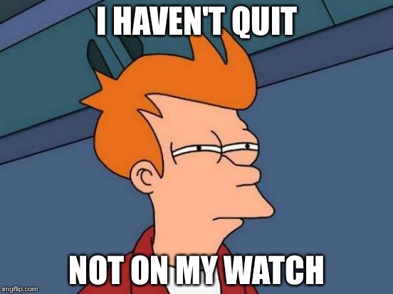 Futurama Fry | I HAVEN'T QUIT; NOT ON MY WATCH | image tagged in memes,futurama fry | made w/ Imgflip meme maker