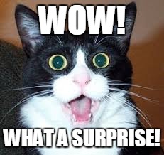 Cats Surprise | WOW! WHAT A SURPRISE! | image tagged in memes,cats | made w/ Imgflip meme maker