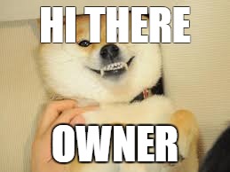 doge | HI THERE; OWNER | image tagged in doge | made w/ Imgflip meme maker