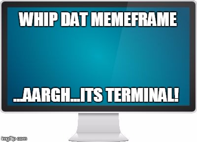 WHIP DAT MEMEFRAME ...AARGH...ITS TERMINAL! | made w/ Imgflip meme maker