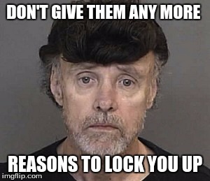 DON'T GIVE THEM ANY MORE; REASONS TO LOCK YOU UP | image tagged in toupee | made w/ Imgflip meme maker