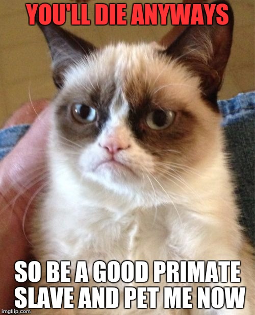 Cats View of Humans | YOU'LL DIE ANYWAYS; SO BE A GOOD PRIMATE SLAVE AND PET ME NOW | image tagged in memes,grumpy cat | made w/ Imgflip meme maker