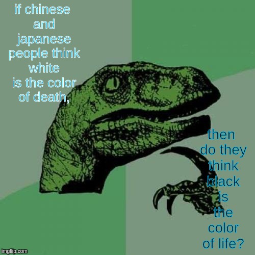 Philosoraptor Meme | then do they think black is the color of life? if chinese and japanese people think white is the color of death, | image tagged in memes,philosoraptor | made w/ Imgflip meme maker