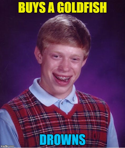 Inspired by Lynch1979 | BUYS A GOLDFISH; DROWNS | image tagged in memes,bad luck brian,animals,goldfish,water | made w/ Imgflip meme maker