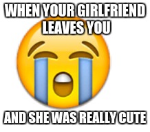 WHEN YOUR GIRLFRIEND LEAVES YOU; AND SHE WAS REALLY CUTE | image tagged in breakup | made w/ Imgflip meme maker