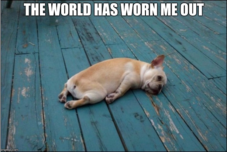 Even the dogs are over society's woes | THE WORLD HAS WORN ME OUT | image tagged in tired dog,election 2016,depressed | made w/ Imgflip meme maker