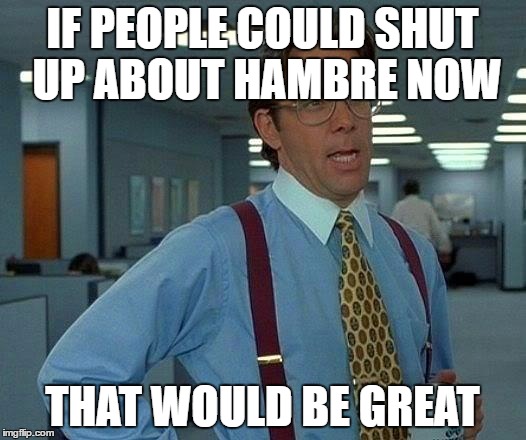 That Would Be Great | IF PEOPLE COULD SHUT UP ABOUT HAMBRE NOW; THAT WOULD BE GREAT | image tagged in memes,that would be great | made w/ Imgflip meme maker
