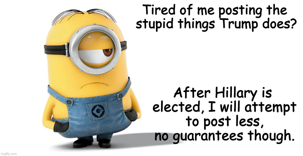 minions | Tired of me posting the stupid things Trump does? After Hillary is elected, I will attempt to post less, no guarantees though. | image tagged in minions | made w/ Imgflip meme maker