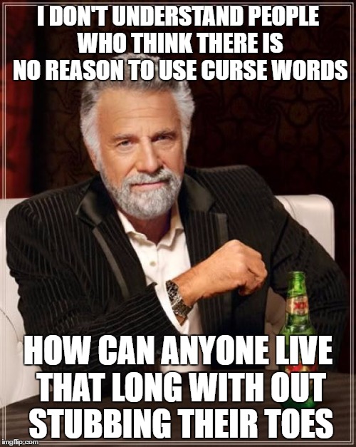 The Most Interesting Man In The World | I DON'T UNDERSTAND PEOPLE WHO THINK THERE IS NO REASON TO USE CURSE WORDS; HOW CAN ANYONE LIVE THAT LONG WITH OUT STUBBING THEIR TOES | image tagged in memes,the most interesting man in the world | made w/ Imgflip meme maker